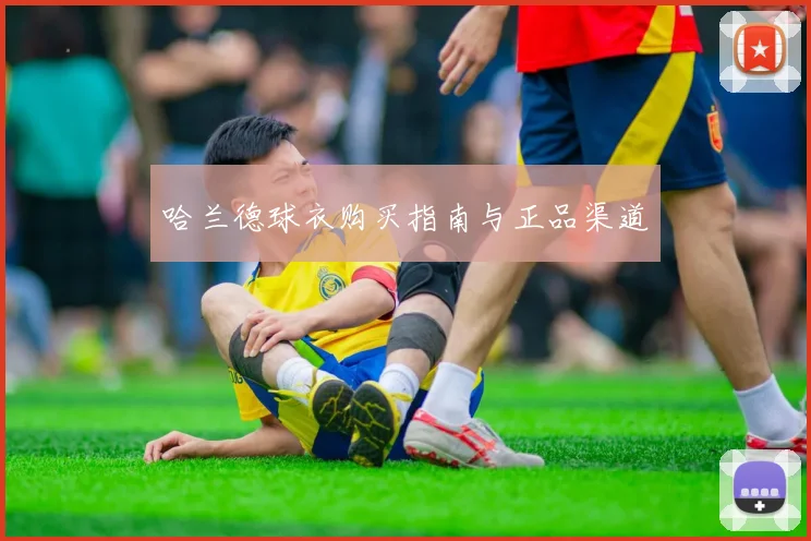 哈兰德球衣购买指南与正品渠道