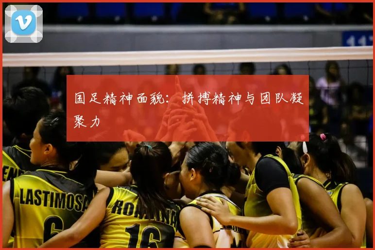 国足精神面貌:拼搏精神与团队凝聚力